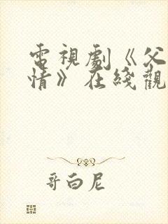 电视剧《父母爱情》在线观看