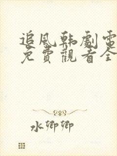 追风韩剧电视剧免费观看全集高清封面