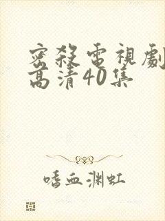 密杀电视剧全集高清40集