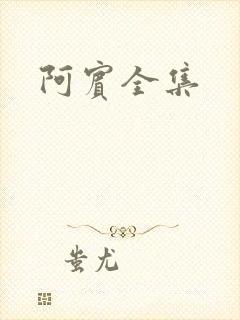 阿宾全集封面