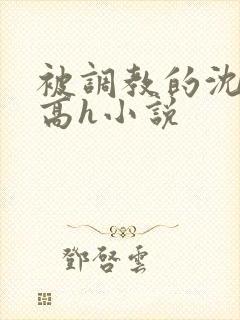 被调教的沈清清高h小说