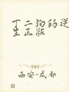 丁二狗的逆袭人生正版封面