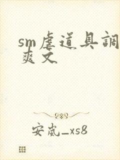 sm虐道具调教爽文