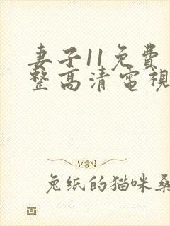 妻子11免费完整高清电视剧在线看封面