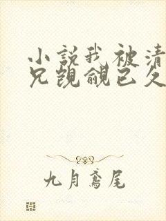 小说我被清冷师兄觊觎已久免费阅读全文封面