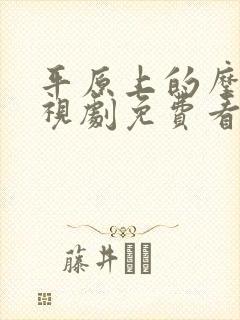 平原上的摩西电视剧免费看