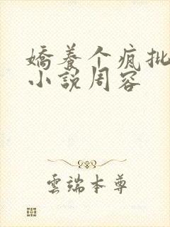 娇养个疯批美人小说周容封面