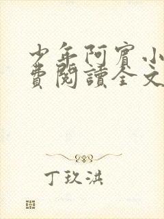 少年阿宾小说免费阅读全文免费