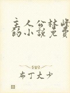 主人公林峰宁欣的小说免费阅读