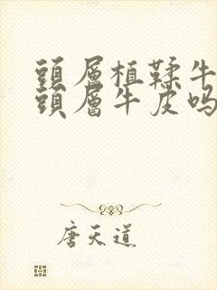 头层植鞣牛皮是头层牛皮吗