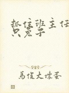 抓住班主任的两只兔子封面