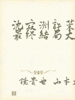 沈寂洲许茉孟姣最终结局大结局