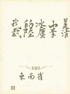我的冰山美女总裁陆尘李清瑶封面