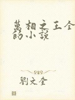 万相之王全免费的小说