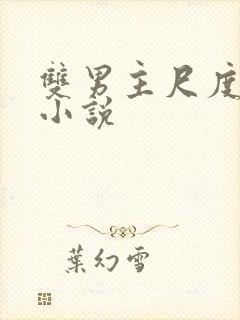 双男主尺度大的小说