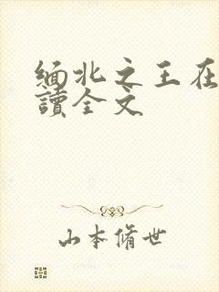 缅北之王在线阅读全文封面