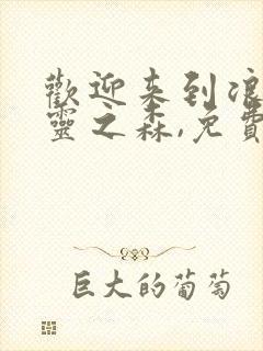 欢迎来到浪荡精灵之森,免费观看全集