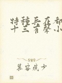 特种兵在都市夜十三有声小说