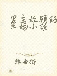 男主姓顾的所有军婚小说