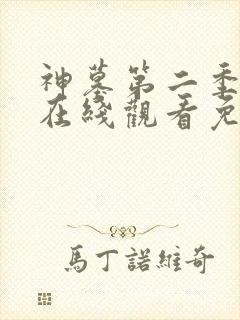 神墓第二季高清在线观看免费完整版