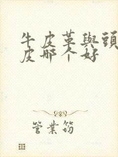 牛皮革与头层牛皮哪个好