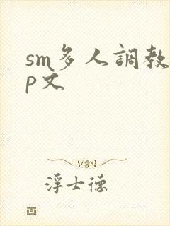 sm多人调教np文封面