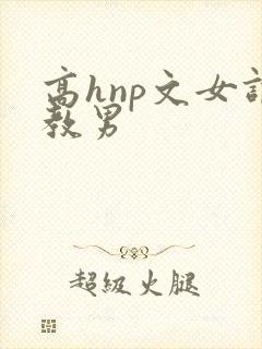 高hnp文女调教男