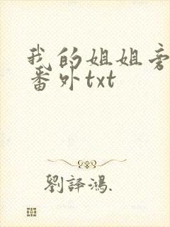 我的姐姐旁观者番外txt