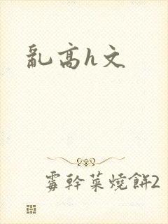 乱高h文