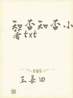 知否知否小说原著txt