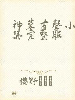 神墓有声小说全集完整版