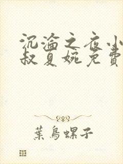 沉沦之夜小说陈叔夏婉免费阅读封面