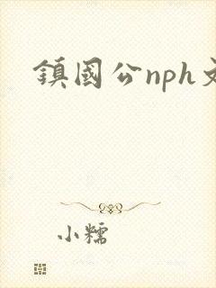 镇国公nph文
