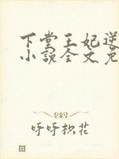 下堂王妃逆袭记小说全文免费阅读