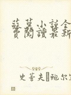 苏莫小说全文免费阅读最新章节