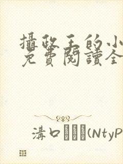 摄政王的小闲妻免费阅读全文封面