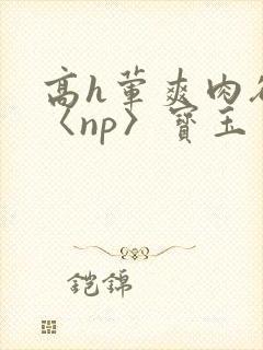 高h荤爽肉欲文〈np〉宝玉