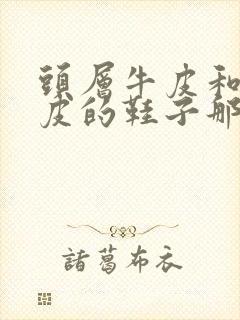 头层牛皮和超纤皮的鞋子那种好