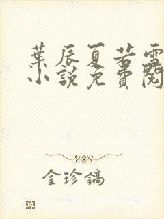 叶辰夏若雪孙怡小说免费阅读