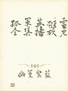 孤军英雄电视剧全集播放免费观看