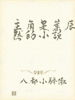 主角是叶辰萧初然的小说