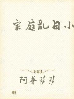 家庭乱日小说