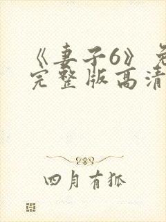 《妻子6》免费完整版高清韩剧八级