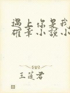 遇上你是我的小确幸小说小说封面