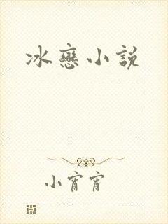 冰恋小说封面