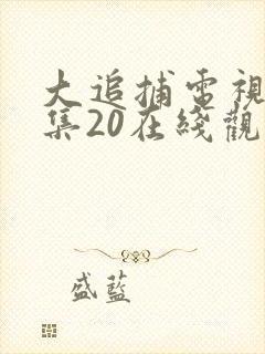 大追捕电视剧全集20在线观看