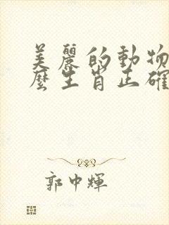 美丽的动物是什么生肖正确答案是