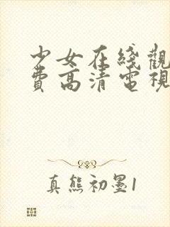 少女在线观看免费高清电视剧韩剧