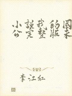 小说我的国民老公完整版未删减小说