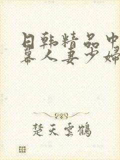 日韩精品中文字幕人妻少妇